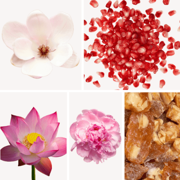 Duftnoten: Magnolie, Granatapfel, Moschus, Lotusblume, Pfingsrose